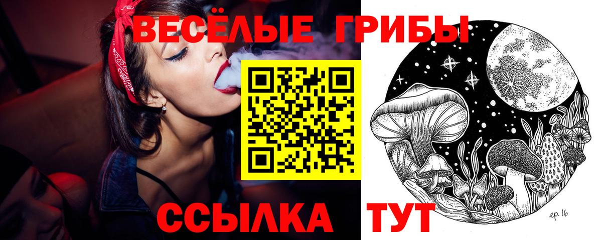 Галлюциногенные грибы ЛСД Рузаевка