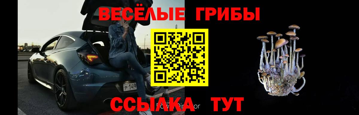 Псилоцибиновые грибы ЛСД  Вход с VPN  Псилоцибиновые грибы MAGIC MUSHROOMS  Рузаевка 