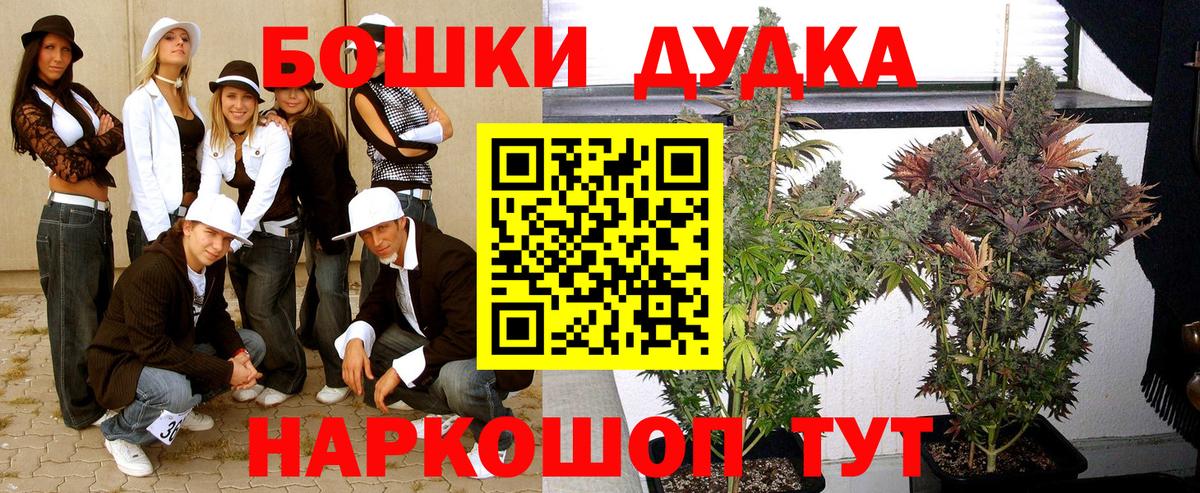 Бошки Шишки планчик Рузаевка